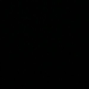 Meet your Posher, Falasteen